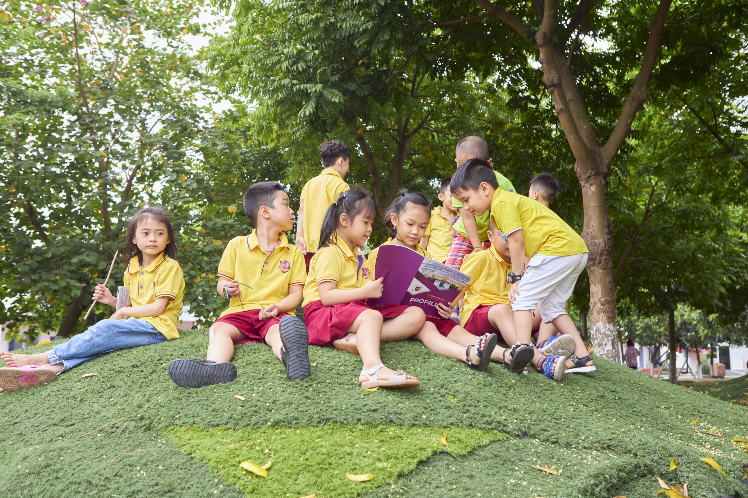 Ảnh nhỏ 3